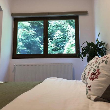 Forest Apartments By Olala Homes سِنايا المظهر الخارجي الصورة