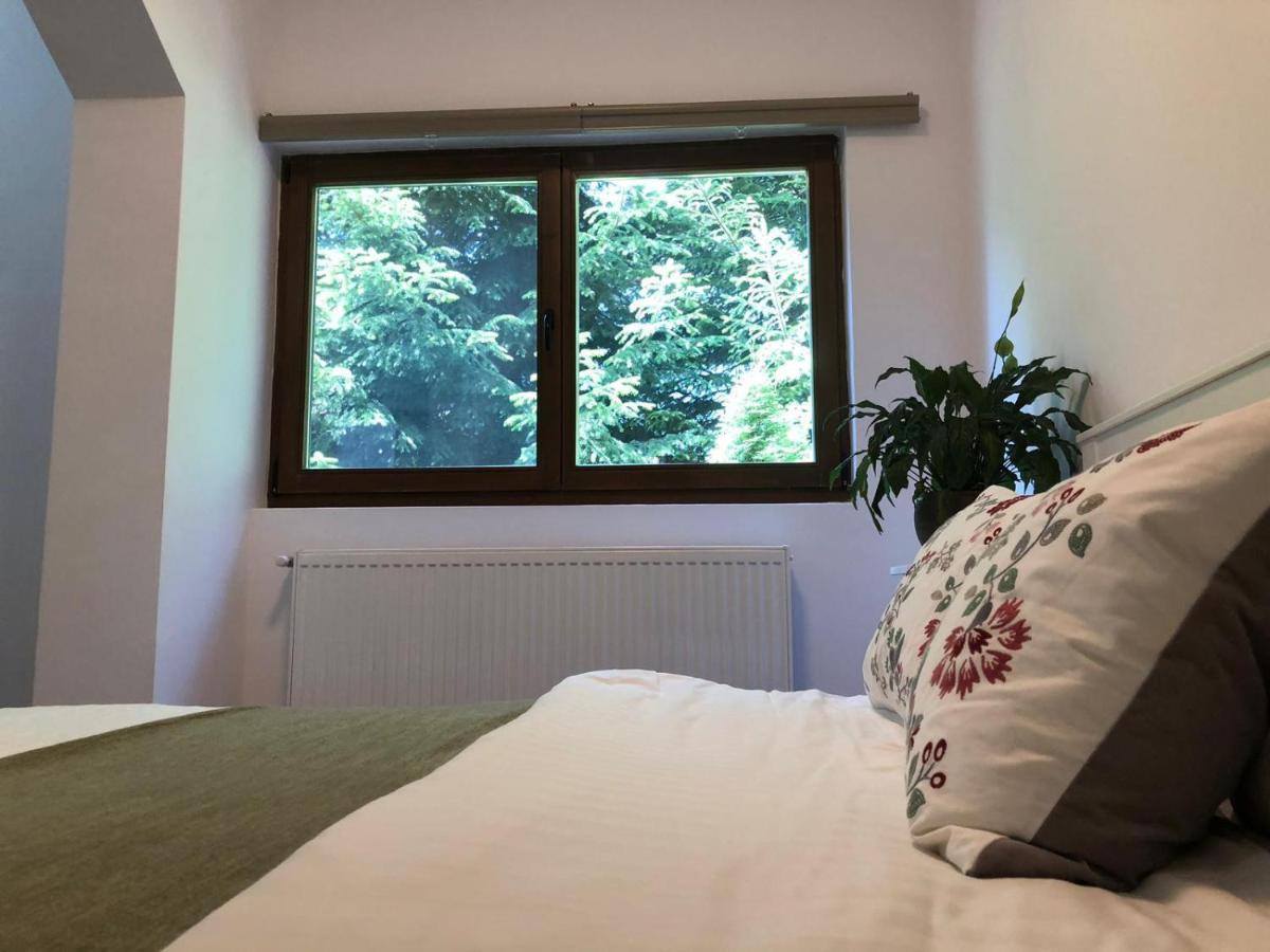 Forest Apartments By Olala Homes سِنايا المظهر الخارجي الصورة