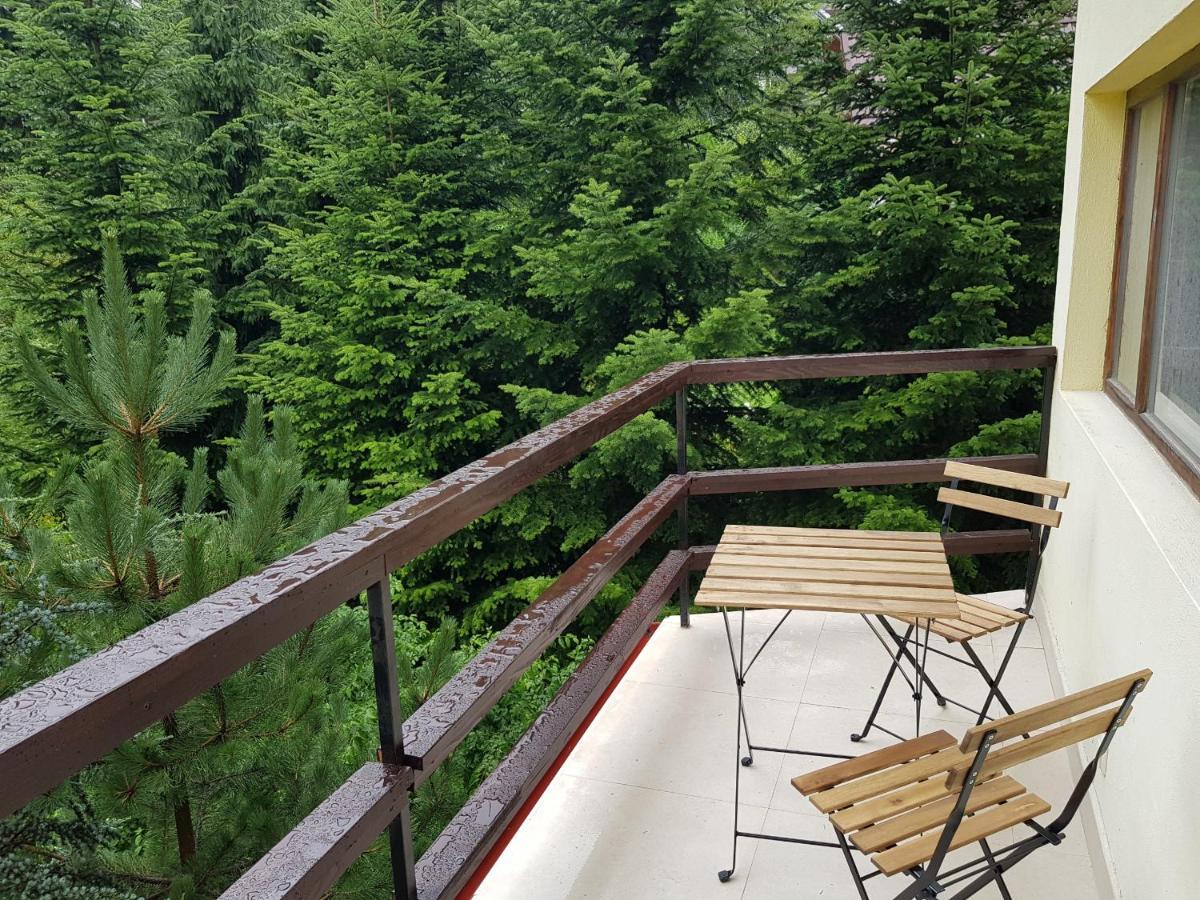Forest Apartments By Olala Homes سِنايا المظهر الخارجي الصورة