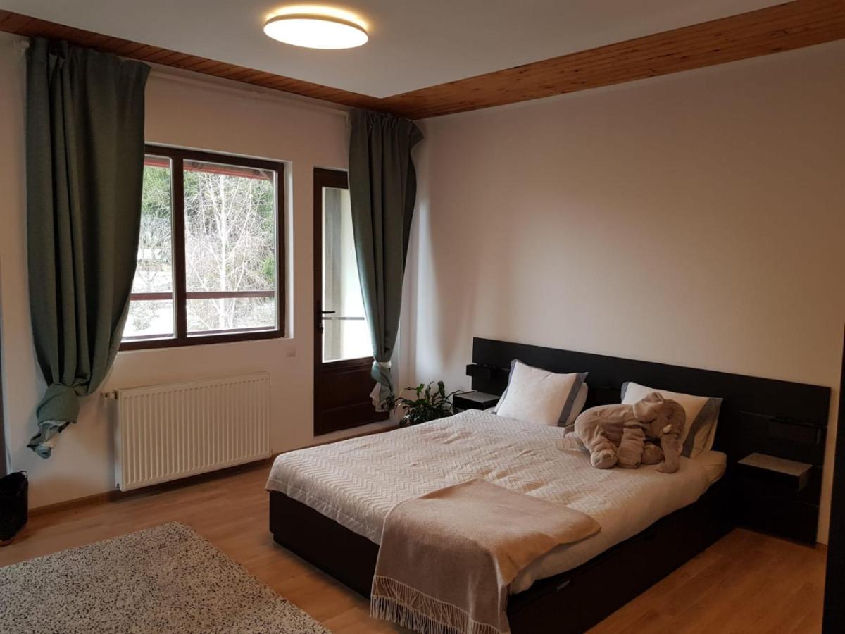 Forest Apartments By Olala Homes سِنايا المظهر الخارجي الصورة